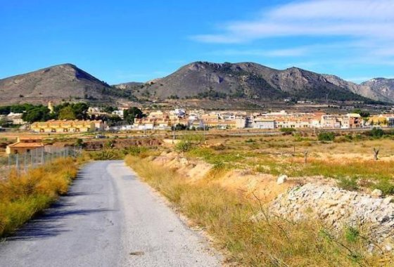 Nieuwbouw  - Villa - La Romana