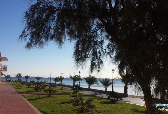 Obra nueva - Villa - Los Alcázares