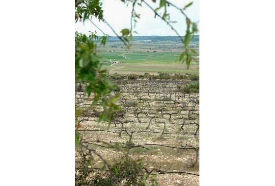 New Build - Villa - Yecla