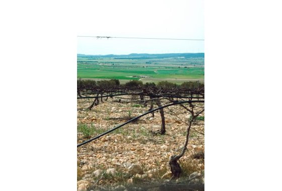 Новое здание - Villa - Yecla