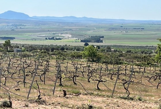 Obra nueva - Villa - Yecla