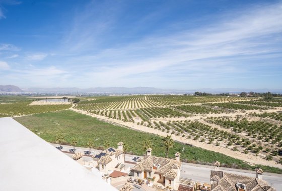 Nouvelle construction - Villa - Algorfa