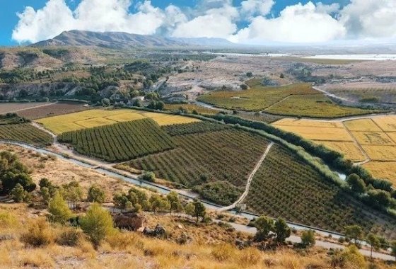 New Build - Villa - Calasparra