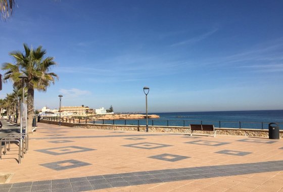 Obra nueva - Villa - Pilar de la Horadada