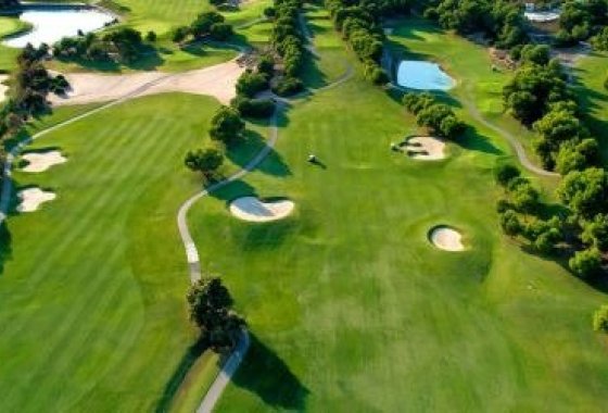 New Build - Villa - Pilar de la Horadada