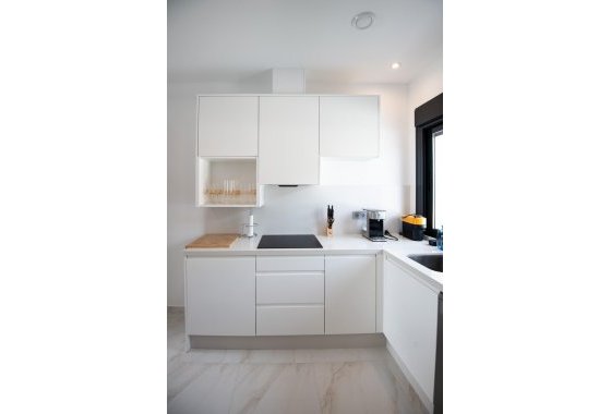 Nieuwbouw  - Villa - Pilar de la Horadada