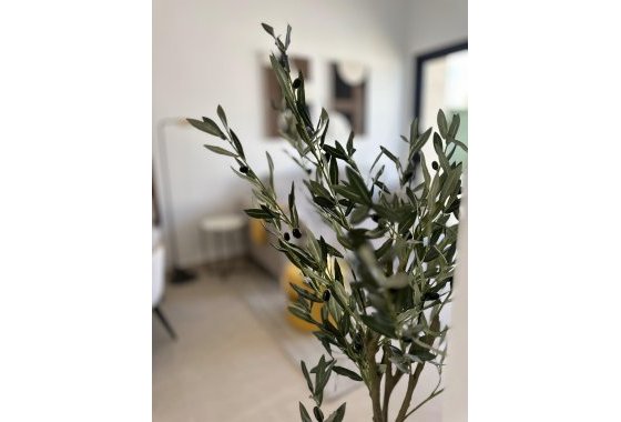 Новое здание - Квартира  - San Fulgencio