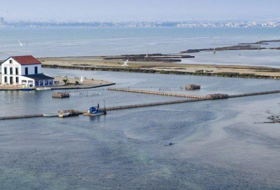 Новое здание - Villa - San Pedro del Pinatar