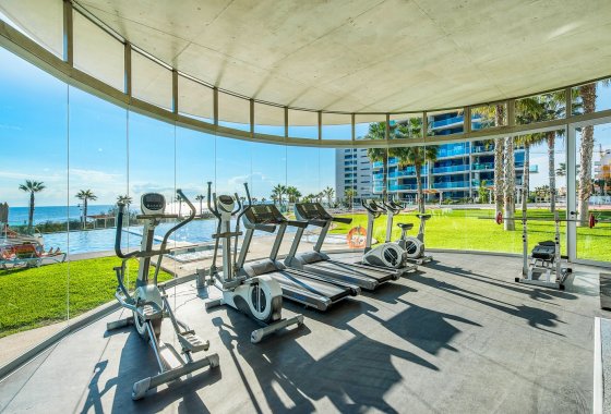 Újraértékesítés - Apartman - Torrevieja - Punta Prima