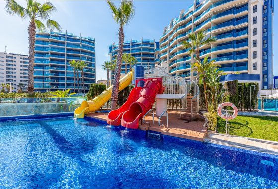 Újraértékesítés - Apartman - Torrevieja - Punta Prima
