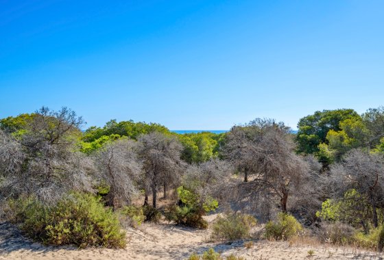 Перепродажа - Квартира  - Guardamar del Segura - Guardamar