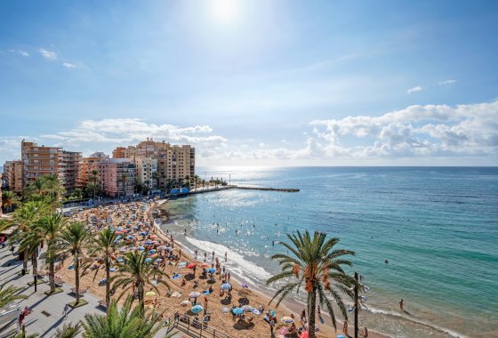 Reventa - Apartamento  - Torrevieja