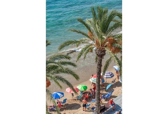 Reventa - Apartamento  - Torrevieja