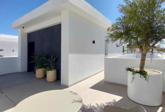 Nieuwbouw  - Villa - Rojales