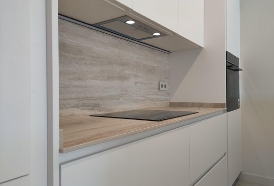 Obra nueva - Villa - Rojales