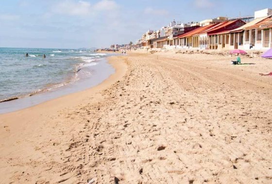 Nouvelle construction - Appartement - Guardamar del Segura