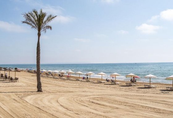 Nouvelle construction - Appartement - Guardamar del Segura