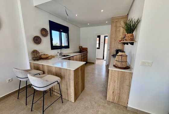 Новое здание - Villa - Rojales