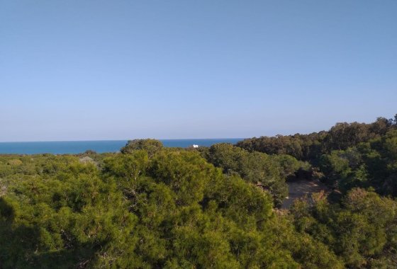 Nouvelle construction - Appartement - Guardamar del Segura