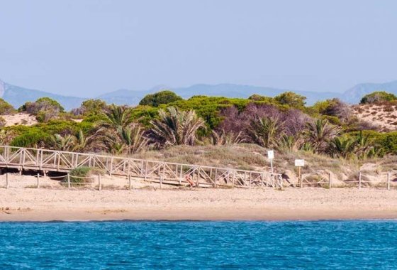 Nieuwbouw  - Appartement  - Guardamar del Segura