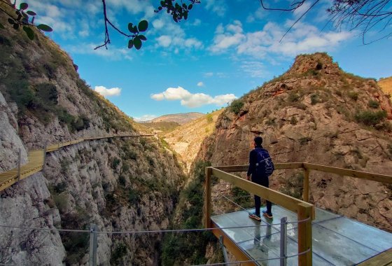 Nieuwbouw  - Appartement  - Relleu