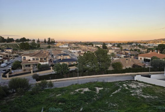 New Build - Villa / ikerházfél - Bigastro