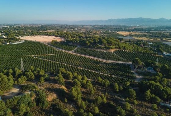 New Build - Villa / ikerházfél - Godella