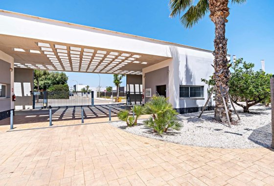 Obra nueva - Apartamento  - Vera