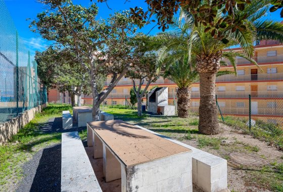 Újraértékesítés - Apartman - Arenales del Sol - Segunda linea playa