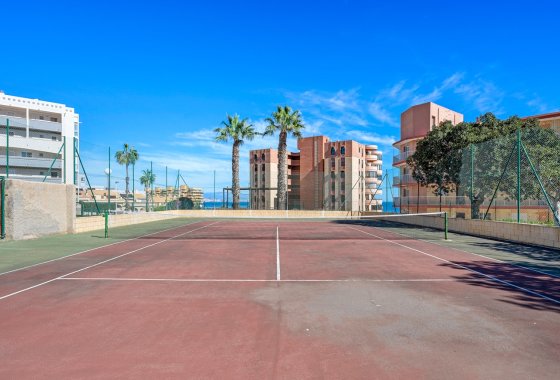 Újraértékesítés - Apartman - Arenales del Sol - Segunda linea playa
