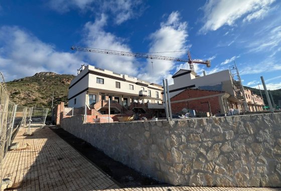 New Build - Villa / ikerházfél - La Union