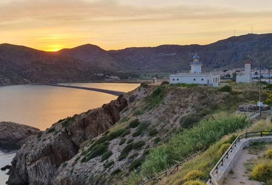 New Build - Villa / ikerházfél - La Union