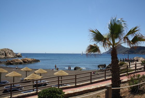 New Build - Villa / ikerházfél - La Union