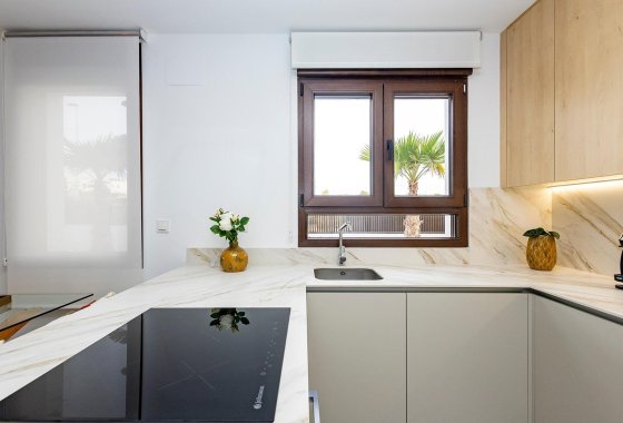 New Build - Villa / ikerházfél - Orihuela